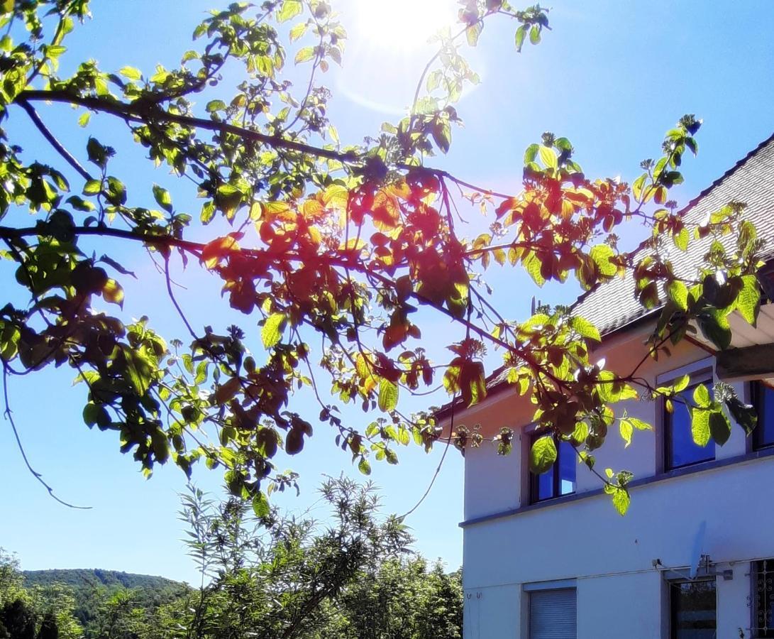 Ferienwohnung Albstadt Panorama Екстер'єр фото